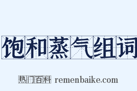 饱和蒸气组词是什么意思的图片